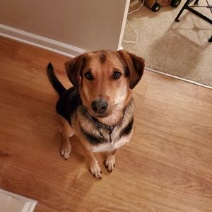 Meet your Posher, Adriana